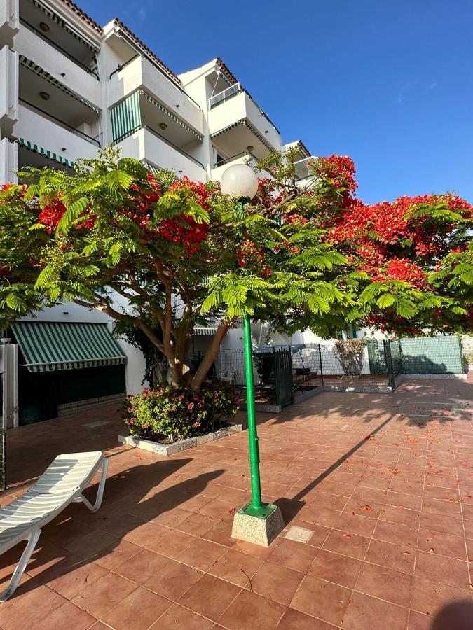 Laguna Blu Apartment San Bartolome de Tirajana (Gran Canaria)